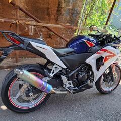 ホンダ　CBR250R　MC41　ETC　モリワキサイレンサー　実働車両　大阪の画像
