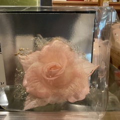 こさーの画像