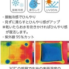 美品🍀ワンコシャツ🐶の画像