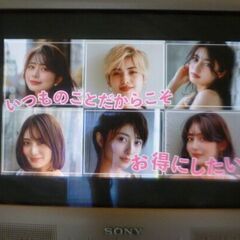 SONY HMD-H200 17インチ平面CRTモニタ トリニトロン/配送不可の画像