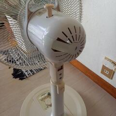 扇風機の画像