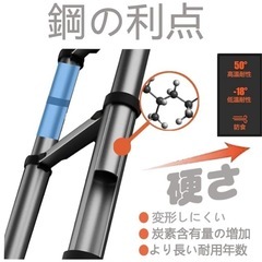 DayPlus 伸縮はしご ステンレス製 3.8ｍ 折り畳み伸縮梯子の画像