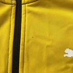 【PUMA】ジャージ上下160㎝の画像