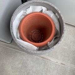 観葉植物用鉢　の画像