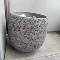 観葉植物用鉢　の画像