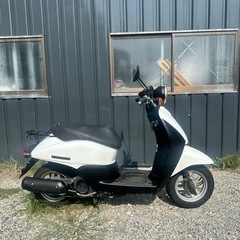 HONDA today AF67 本日限定価格!!の画像