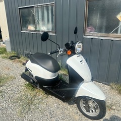 HONDA today AF67 本日限定価格!!の画像