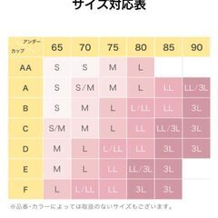 上下セット ピンク の画像