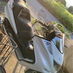 マジェスティ250cの画像