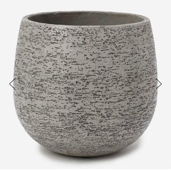 観葉植物用鉢　の画像
