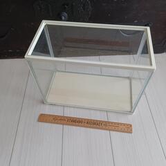 shiturae select GEX 30cm アクリル水槽の画像