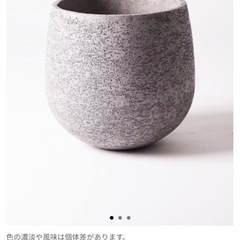 観葉植物用鉢　の画像