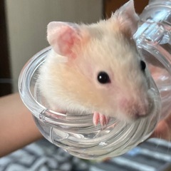 暇つぶし程度に😊