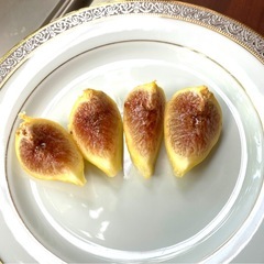 縞模様が可愛いくて美味しい！実付きイチジク大型鉢植えの画像