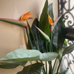 フェイクグリーン　観葉植物　大型の画像