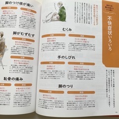 【ベネッセ】妊娠、出産育児書mini 2冊セットの画像