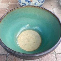 水蓮鉢　メダカ鉢①の画像