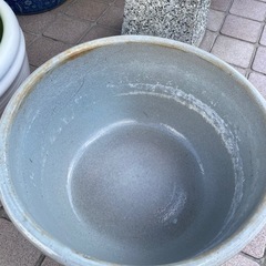 水蓮鉢　メダカ鉢③の画像