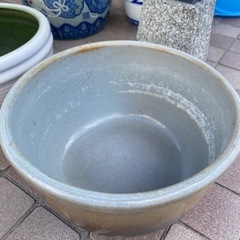 水蓮鉢　メダカ鉢　3個セット④の画像