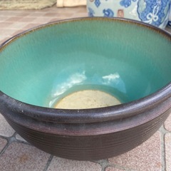 水蓮鉢　メダカ鉢　3個セット④の画像