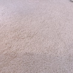 IKEAラグ　ストエンセの画像