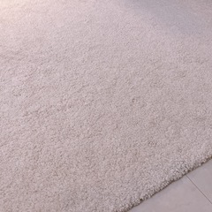 IKEAラグ　ストエンセの画像