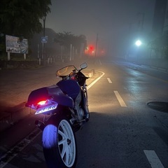 YAMAHA FZR250R プロアームの画像