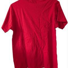 シスキーTシャツの画像