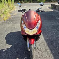 愛知県豊橋市　ＰＣＸ１２５　実働　１８８５９キロの画像