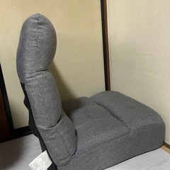 ポケットコイルザイスロダトールの画像
