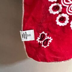 VISVIM 14AW FLAG STOLE STARS (BANDANA)の画像
