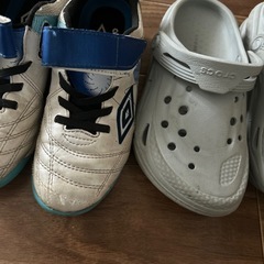 20センチの画像