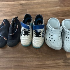 20センチの画像