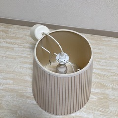 照明💡の画像