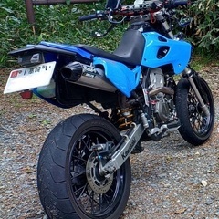 Dトラッカー250 キャブ車の画像