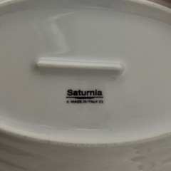 サタルニアのお皿を探してます
