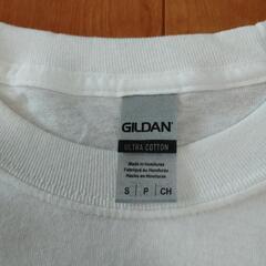 GILDAN チャウチャウ　わんちゃんロンT　新品　S 犬の画像