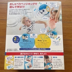 バイリンガル・ヘッジホッグの画像