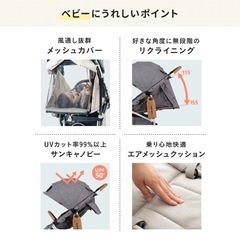 【定価約8万/新生児〜22kgまでOK/クリーニング&メンテナンス済み/価格相談OK】エアバギー　ココブレーキ　フロムバースの画像