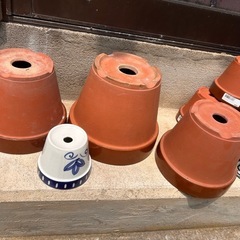 植木鉢、素焼きいろいろの画像