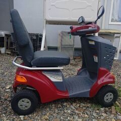 シニアーの画像