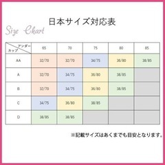 ノンワイヤー ブラジャー ショーツ セット 下着 上下セット 新品未使用の画像