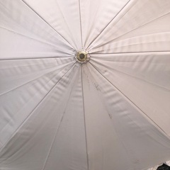 ヒラヒラ日傘　中古の画像