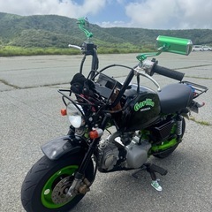 ゴリラ50
 107ccの画像
