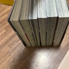 金装のヴェルメイユ　6巻セットの画像