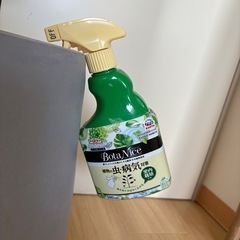 観葉植物の画像
