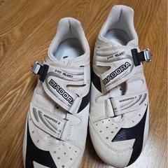 ロードバイク専用靴の画像
