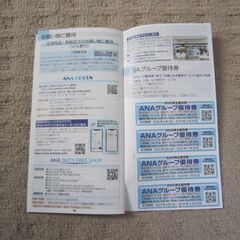 ANAグループ優待券の画像