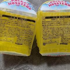 ポケモン　アームリング　浮き輪の画像