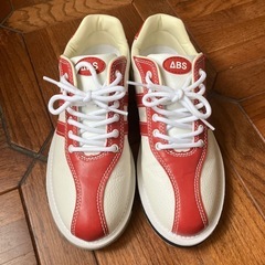 ボーリングシューズ25cmの画像